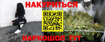 СК Ачхой-Мартан