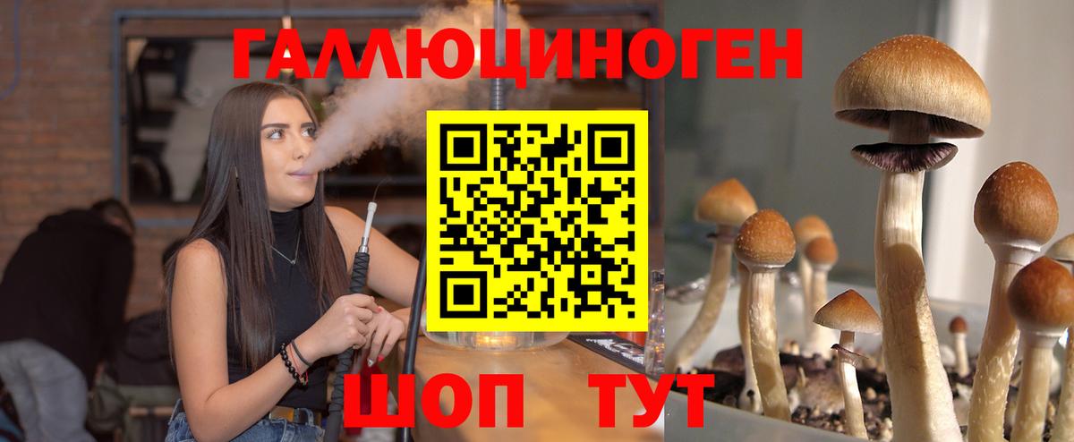Псилоцибиновые грибы Cubensis Белая Калитва